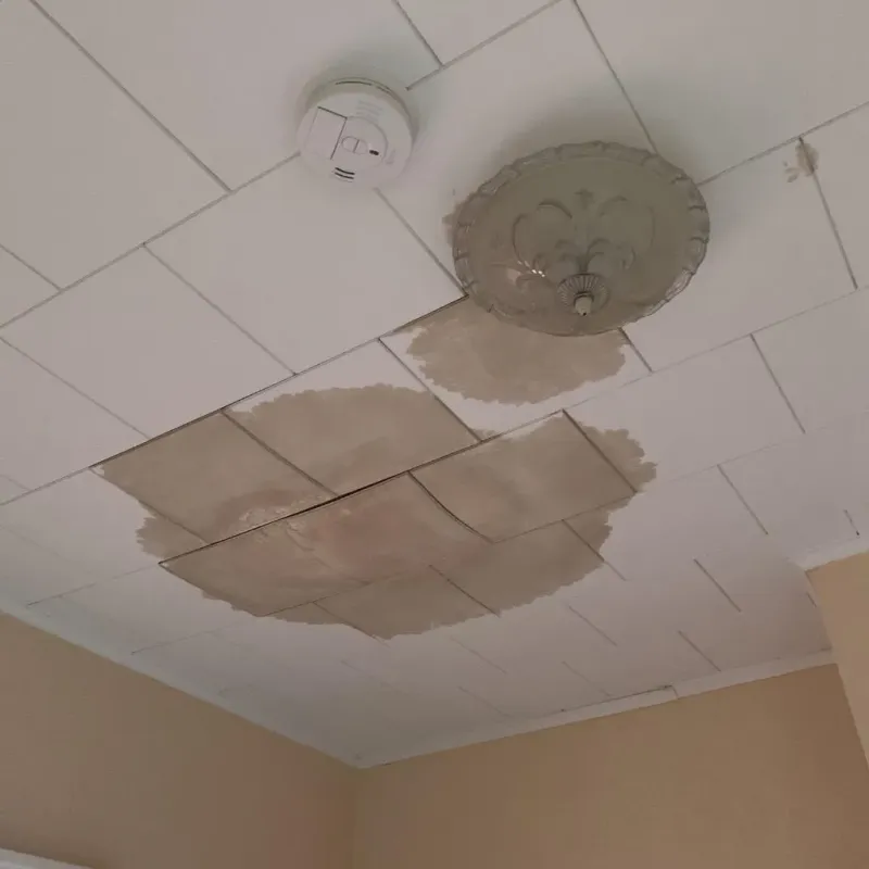 Ceiling Water Damage Repair in Mount Vernon, OH