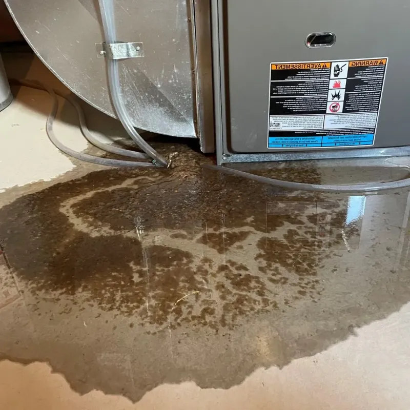 Pipe Burst and Leak Restoration in Mount Vernon, OH