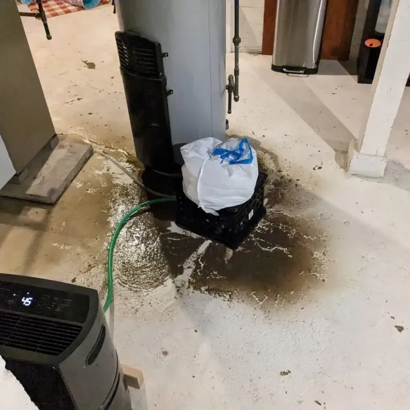 Sewage Backup Cleanup Service in Mount Vernon, OH